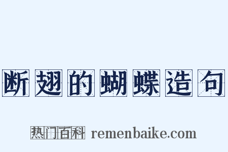 断翅的蝴蝶造句是什么意思的图片